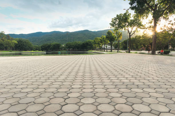 Best Local Driveway Pavers  in Hanceville, AL